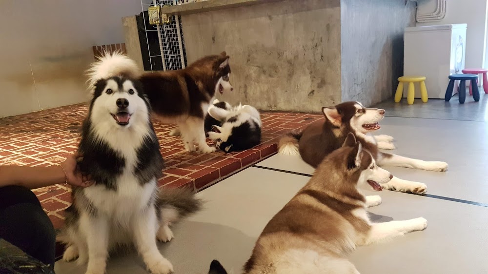 Huskiss